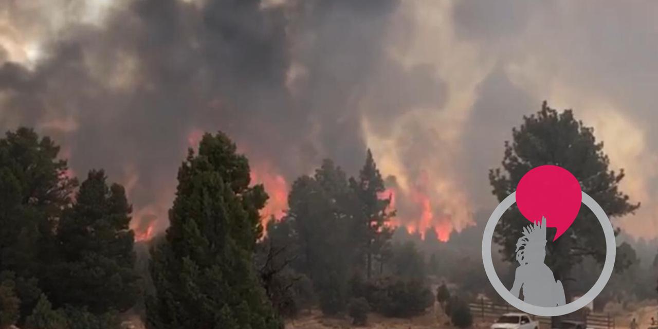 Incendio Forestal en la Sierra Juarez.