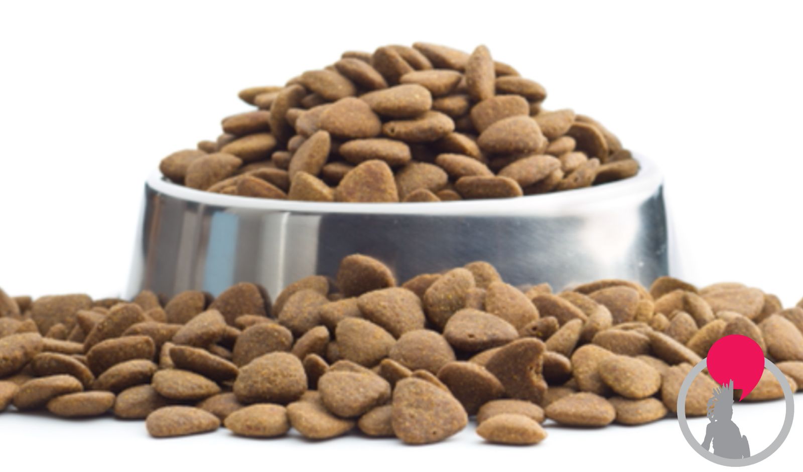 Secretaría de Hacienda propone eliminar IVA en alimentos para animales.