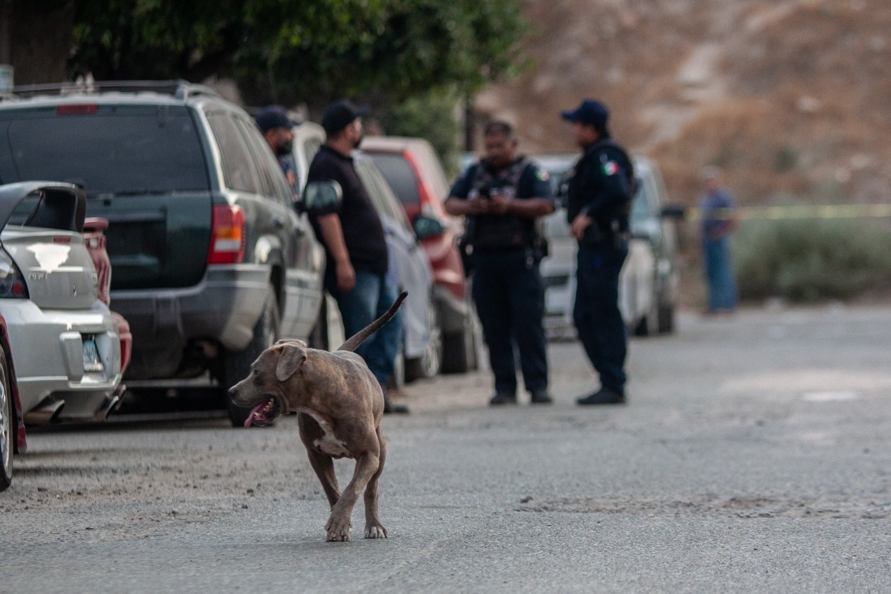 BALACERA EN JARDINES DE LA MESA