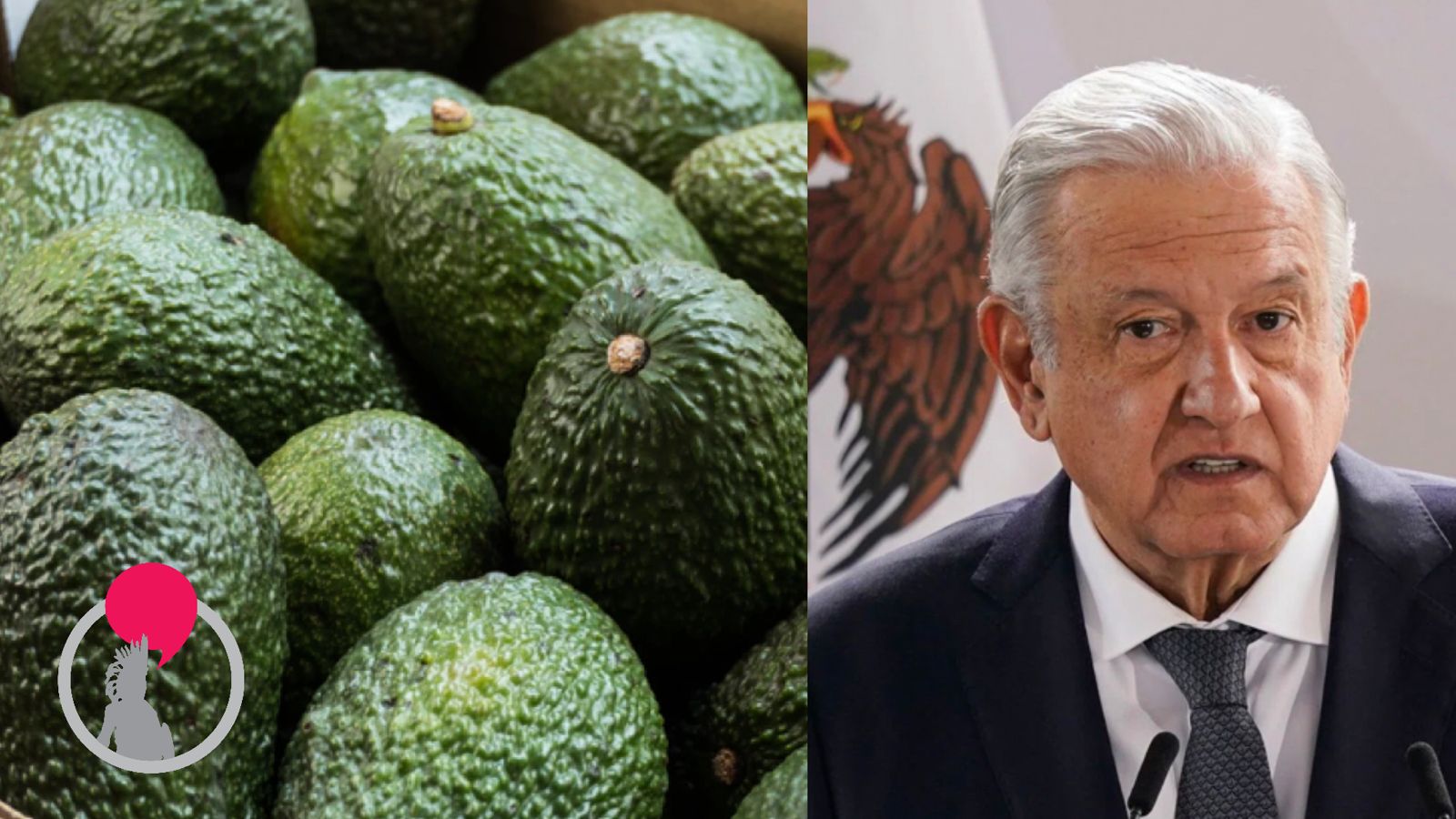 AMLO ve conspiración detrás de veto a aguacate