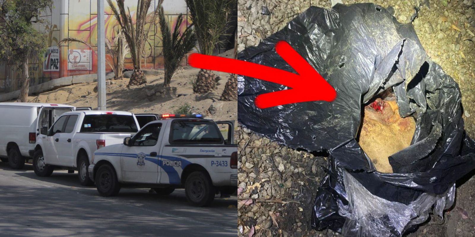 RESTOS HUMANOS Y UN HOMBRE ASESINADO A GOLPES EN TIJUANA; SIN FRENO LA INSEGURIDAD EN BC