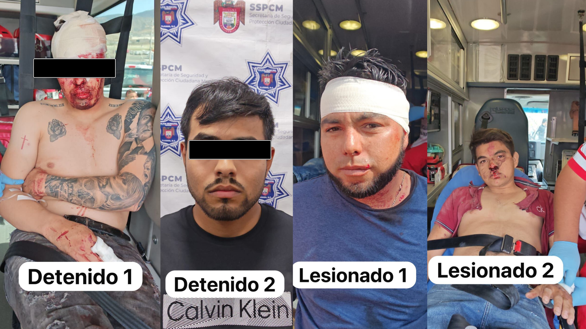 TJ COMUNICA PORTAL WEB (11)