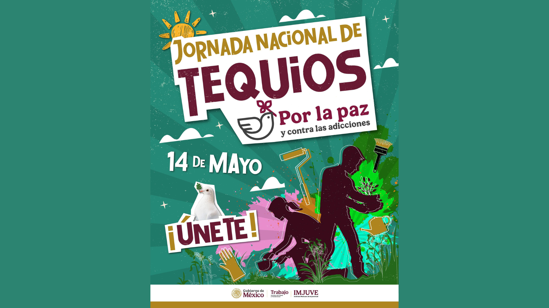TJ COMUNICA PORTAL WEB