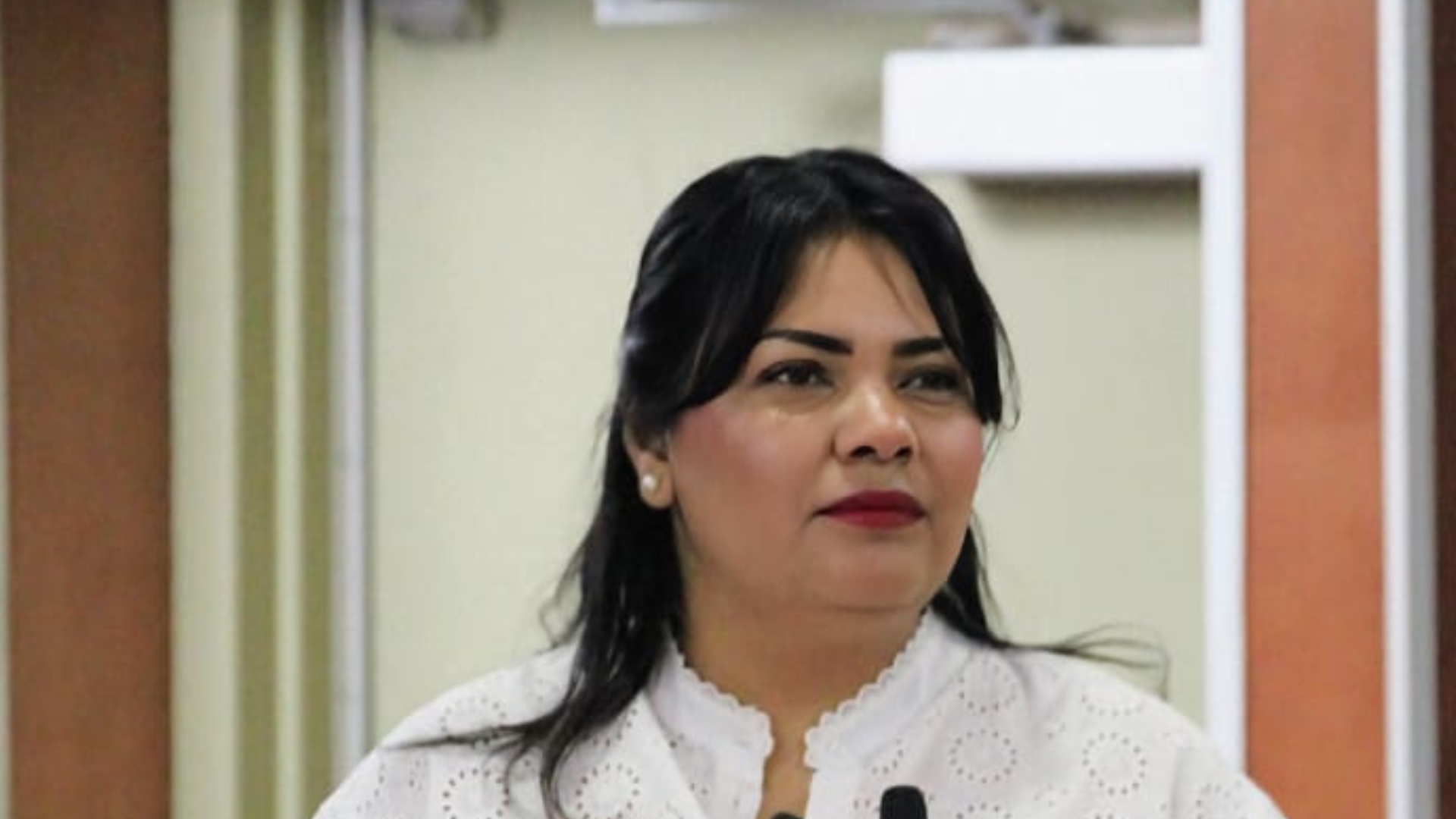 Aprueban adicionar la modalidad de violencia patrimonial a ley de atención y prevención de la violencia familiar