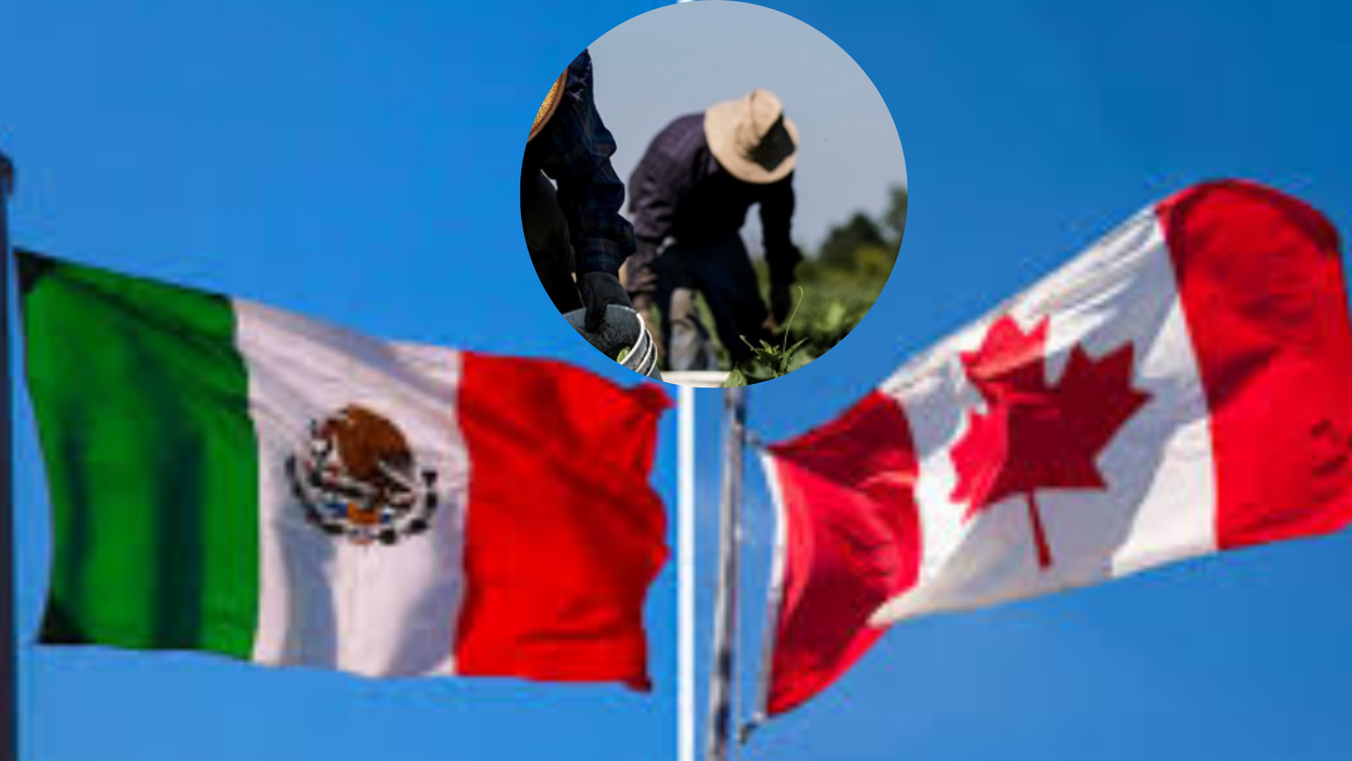 TJ COMUNICA PORTAL WEB (8)