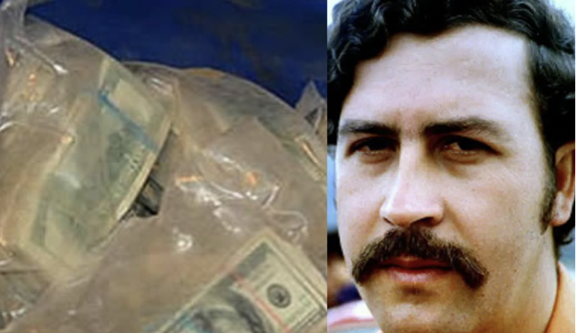 Reviven historia de un agricultor colombiano que habría hallado parte de la fortuna de Pablo Escobar