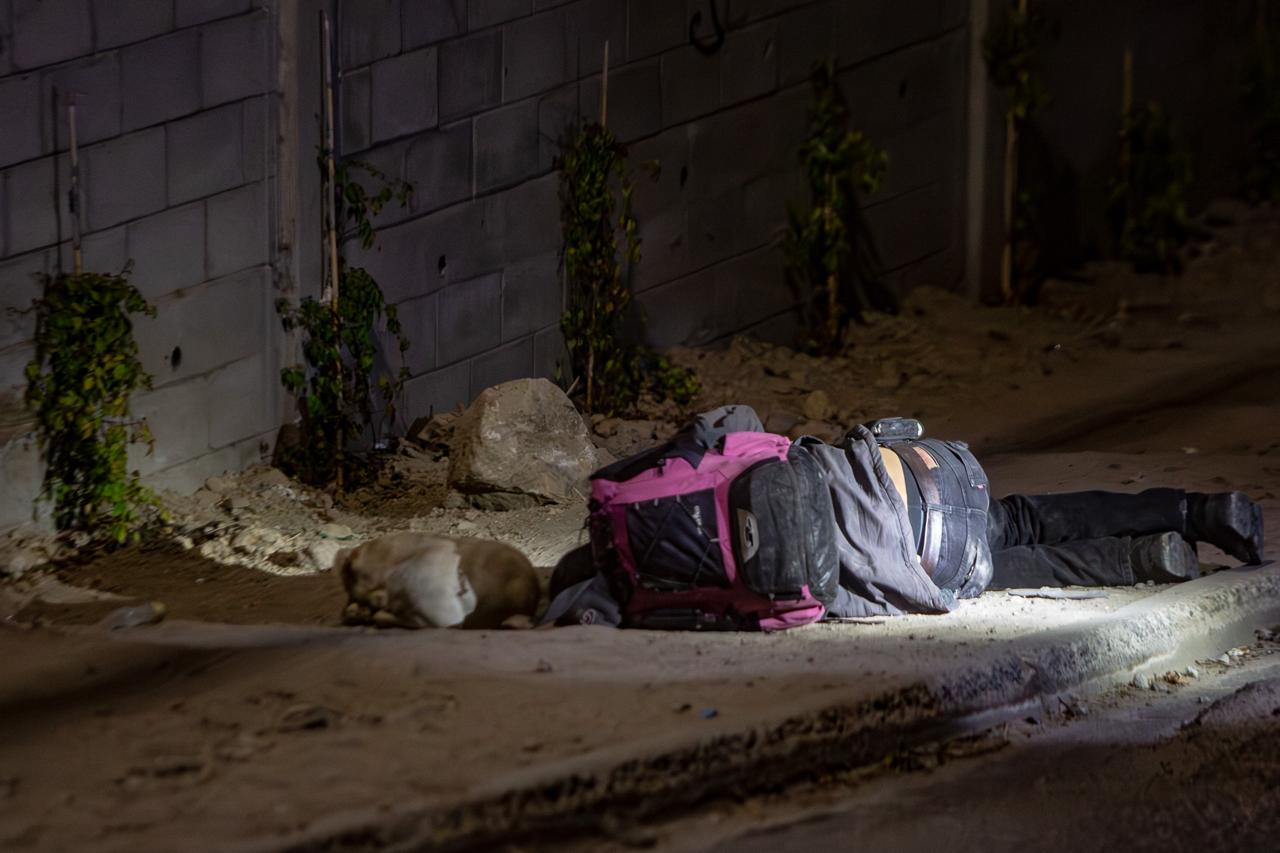 Fiel hasta el final: perrito cuida el cuerpo de su dueño asesinado