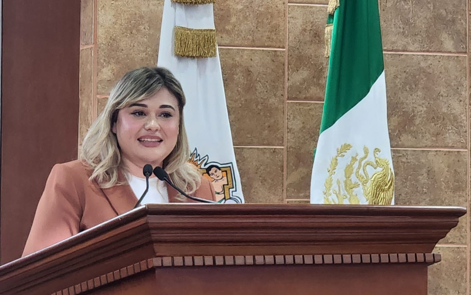 Diputada Michelle Tejada busca integrar a los pueblos indígenas y afromexicanos como sujetos de bienestar social