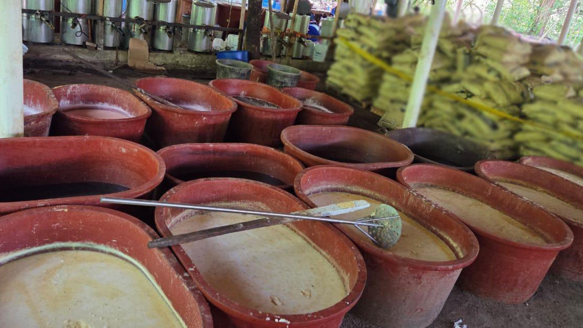 Desmantelan laboratorio de metanfetamina en Chiapas