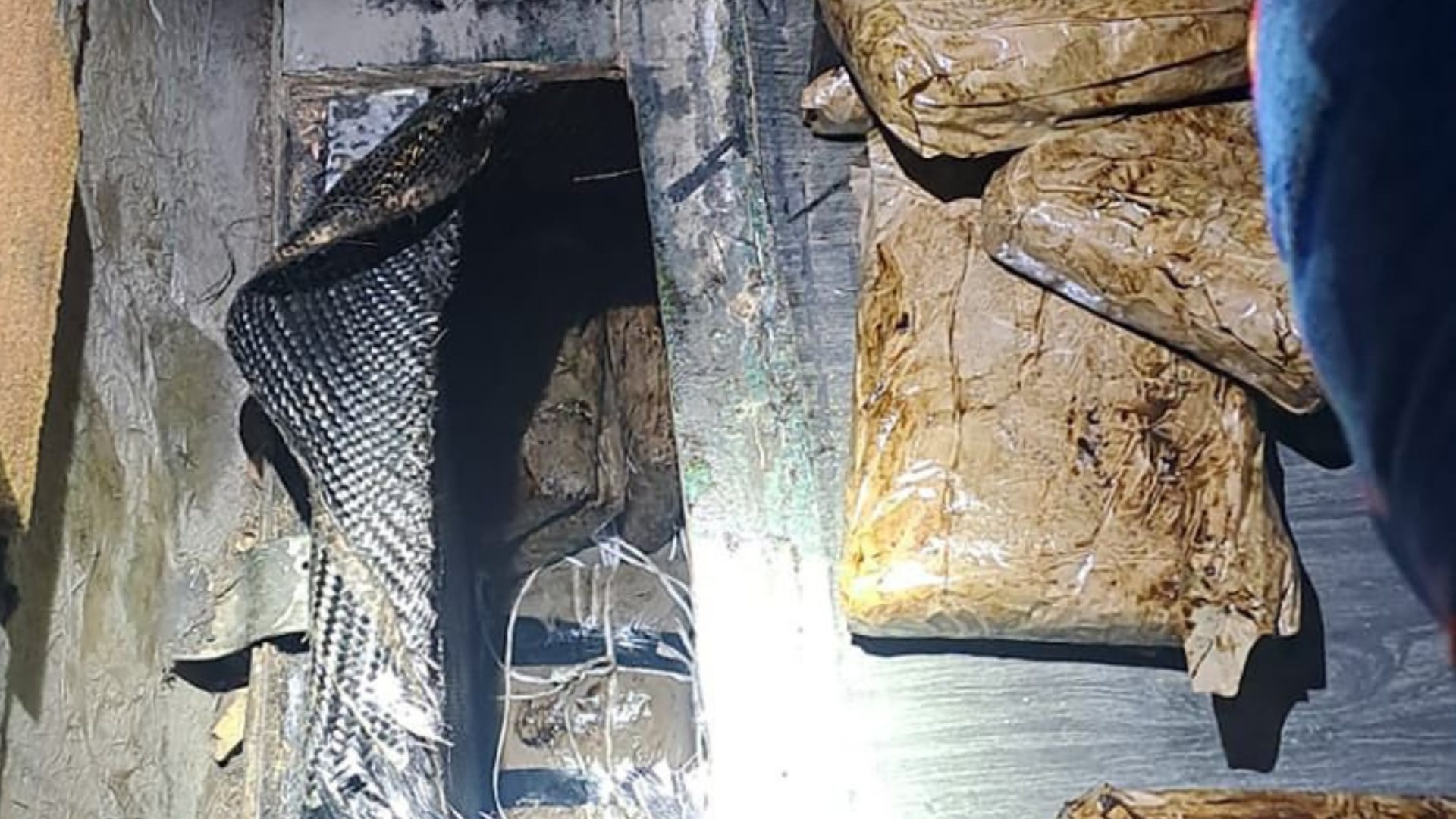 Detienen a dos personas que transportaban paquetes de heroína y fentanilo en un autobús