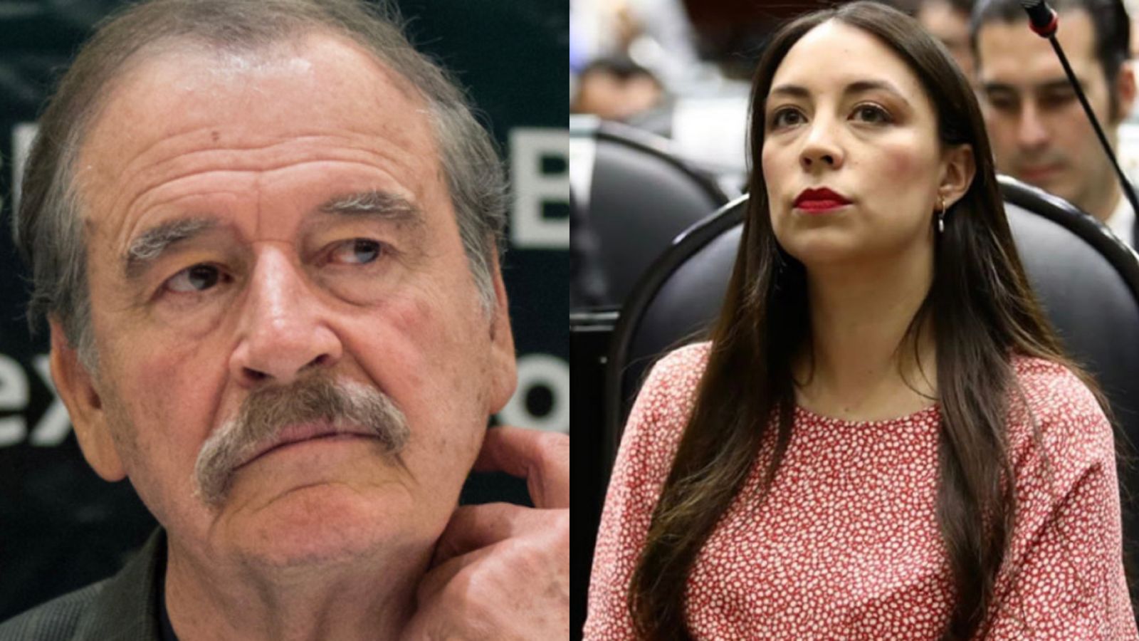 La senadora Julieta Ramírez, aclaró lo dichos del ex presidente Vicente Fox, quien se atribuyó el programa de adultos mayores.