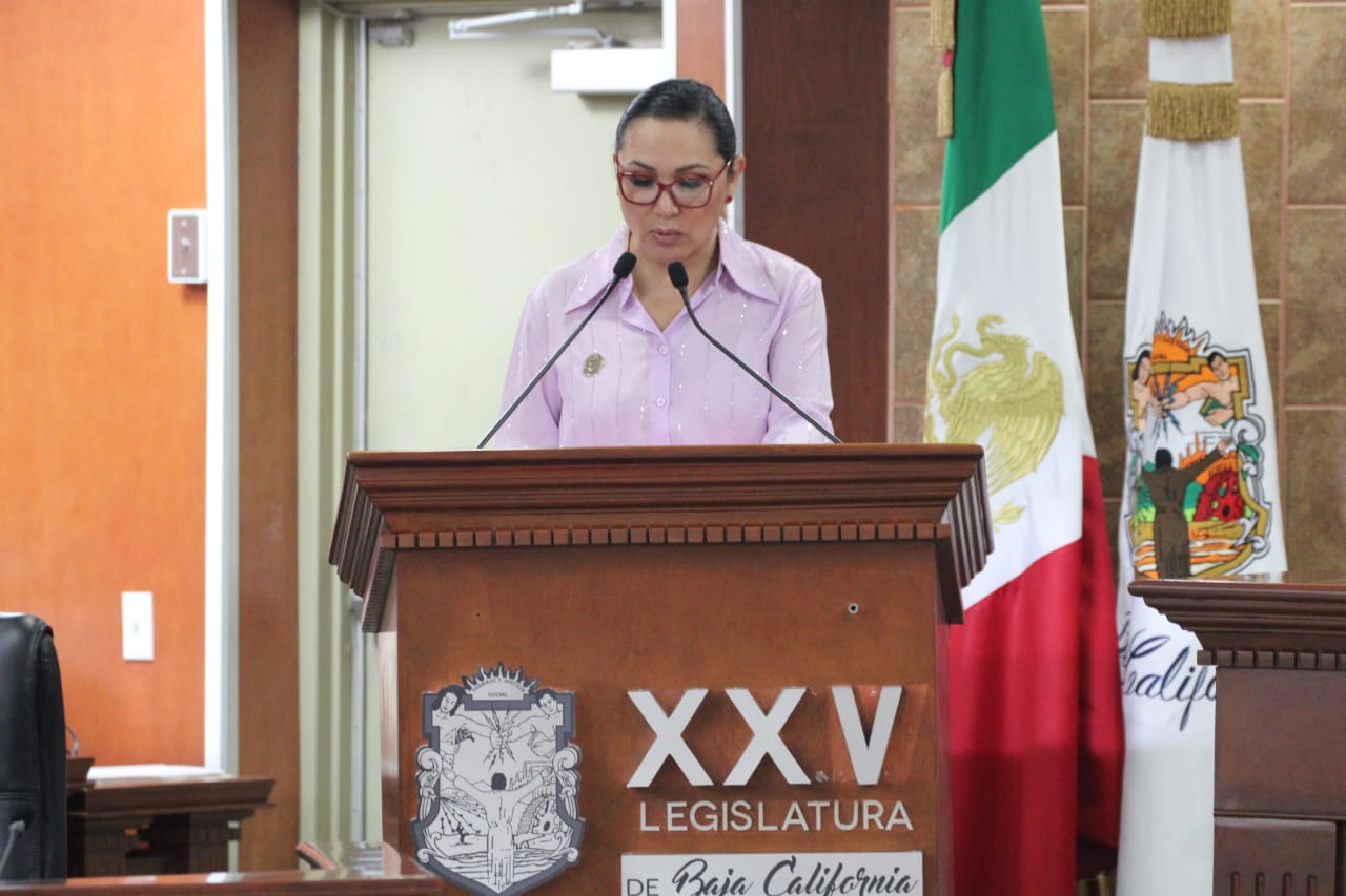 Diputada Araceli Geraldo impulsa el fortalecimiento de los mecanismos de participación ciudadana