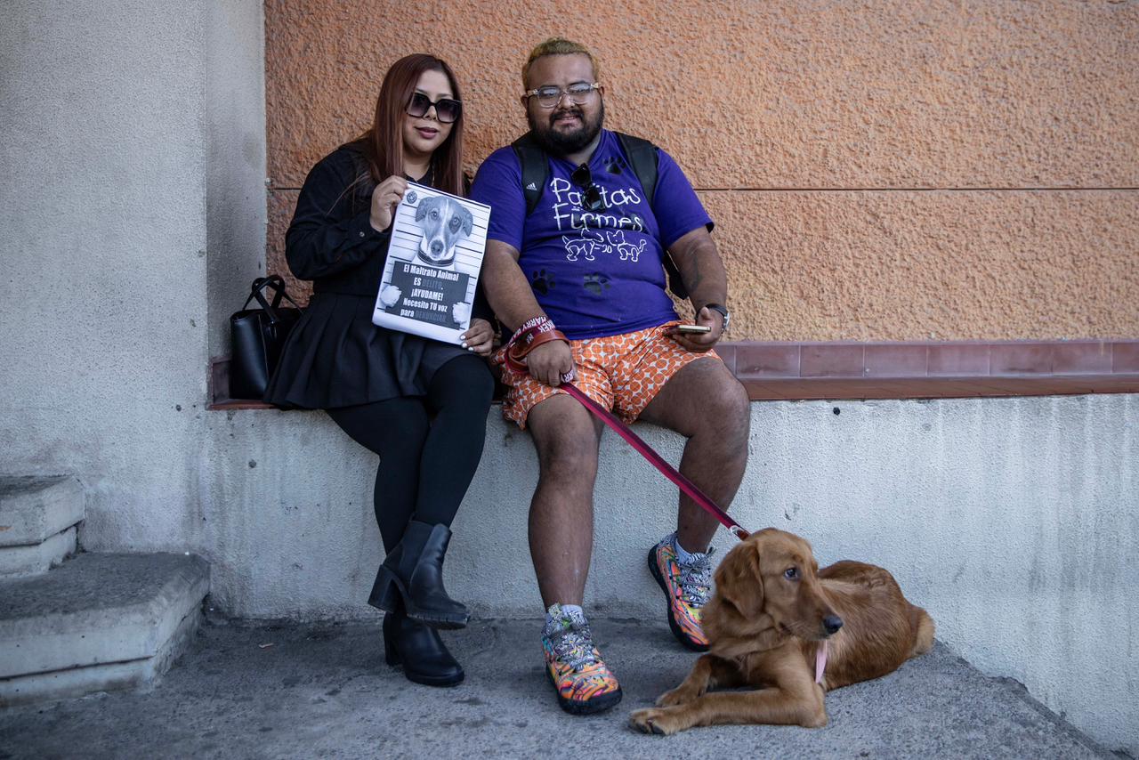 Activistas exigen sanciones más severas para el maltrato animal