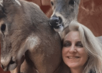 Muere la activista Jodi Proger al ser atacada por un venado que rescató; su hija reacciona: “No mató a mi mamá”
