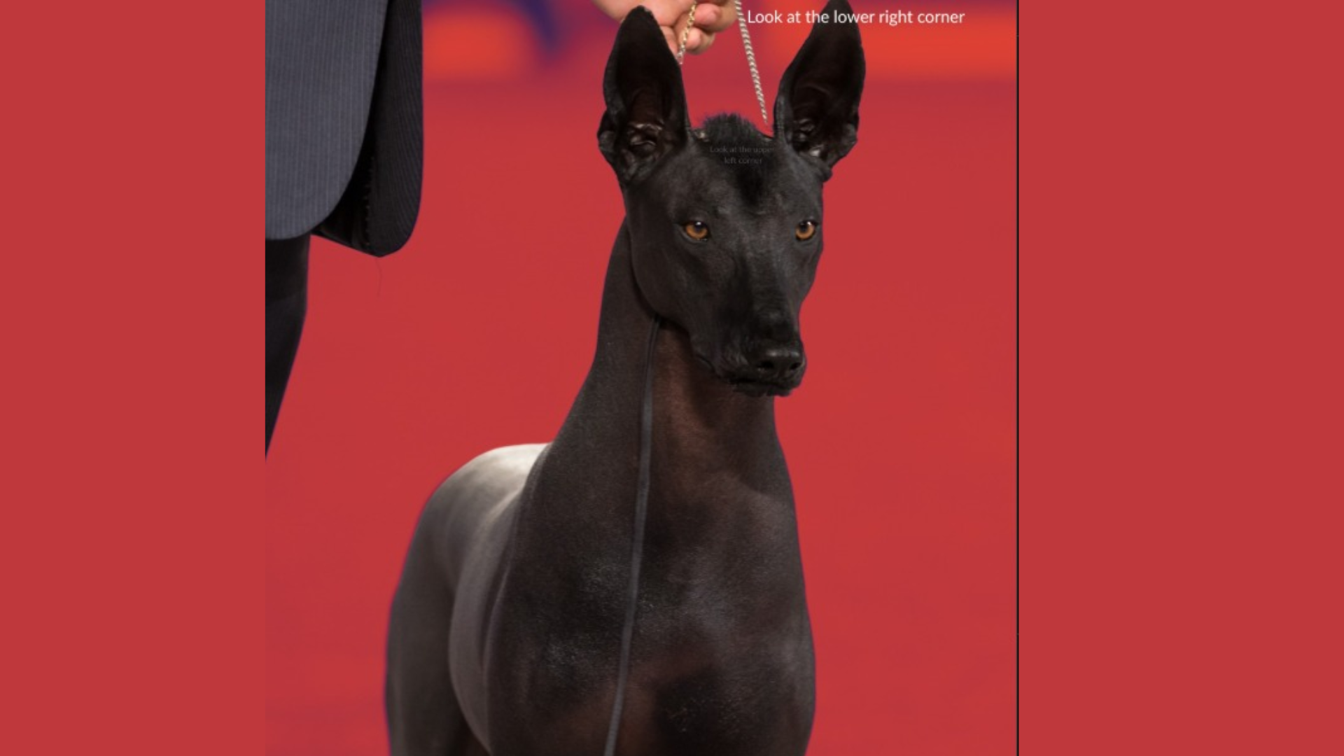 ¡Se hará historia!