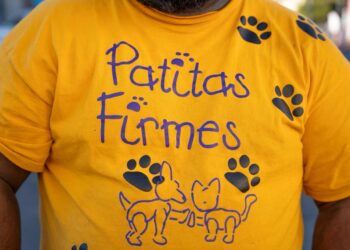 Vinculan a proceso a “El maltratador de la Obrera”; animalistas exigen pena máxima