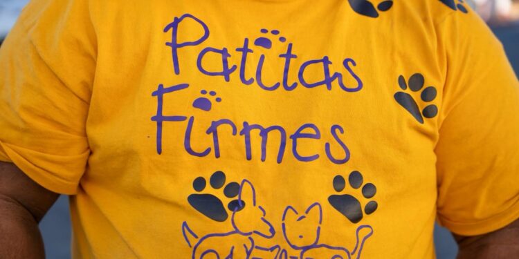 Vinculan a proceso a “El maltratador de la Obrera”; animalistas exigen pena máxima