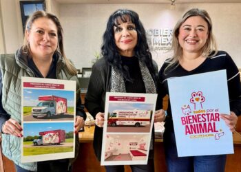 DIPUTADA MICHELLE TEJEDA IMPULSA UNIDAD MÓVIL DE ESTERILIZACIÓN CANINA