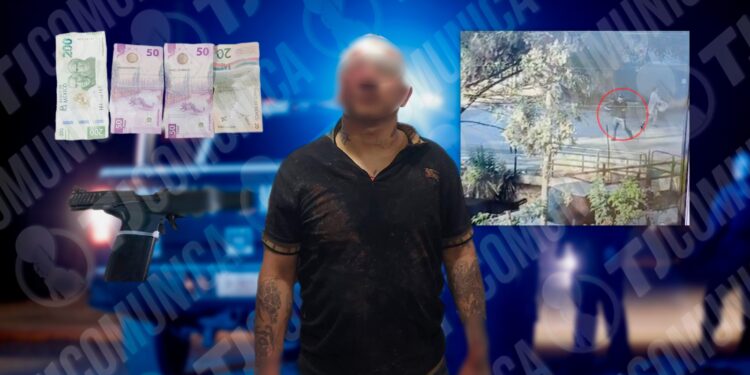 Detienen a rata en Tijuana; se cayó en un arroyo tras huir de la Municipal