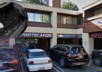 Roban 300,000 dólares en cartas de Pokémon; utilizaron una sierra para entrar a la tienda