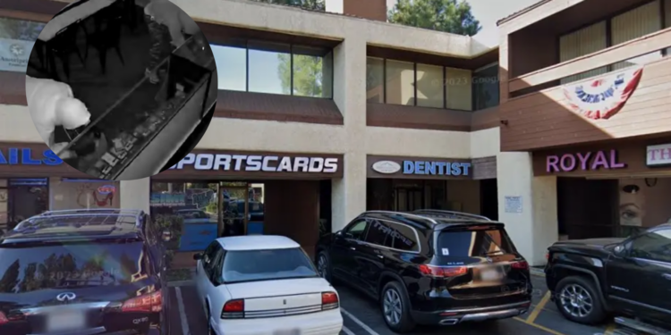 Roban 300,000 dólares en cartas de Pokémon; utilizaron una sierra para entrar a la tienda