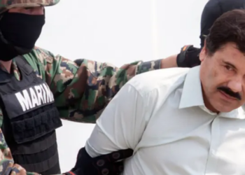 ¿Qué ha pasado 10 años después de la caída del “701” en la familia Guzmán?