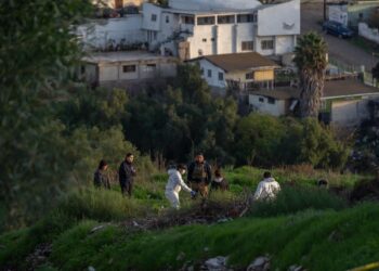 Denuncian presunto caso de maltrato animal en la colonia Otay Jardín de Tijuana