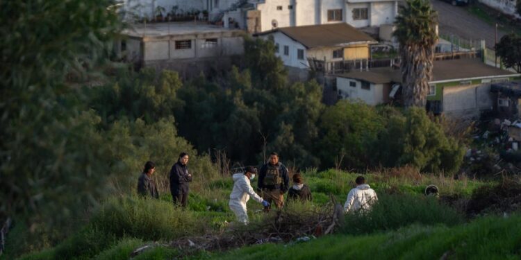 Denuncian presunto caso de maltrato animal en la colonia Otay Jardín de Tijuana