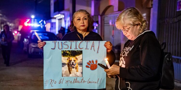 Con veladoras y globos blancos realizan vigilia en memoria de “El Chato”
