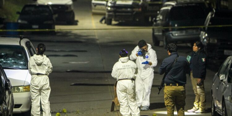 Ataque armado en la colonia Maclovio Rojas deja dos personas sin vida y una lesionada