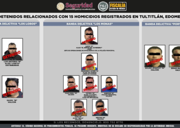 AUTORIDADES FEDERALES Y ESTATALES DETIENEN A 11 PERSONAS VINCULADAS CON HOMICIDIOS EN EL ESTADO DE MÉXICO