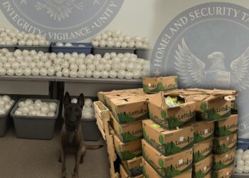 DEA incauta “meta” escondida en cajas de lechuga