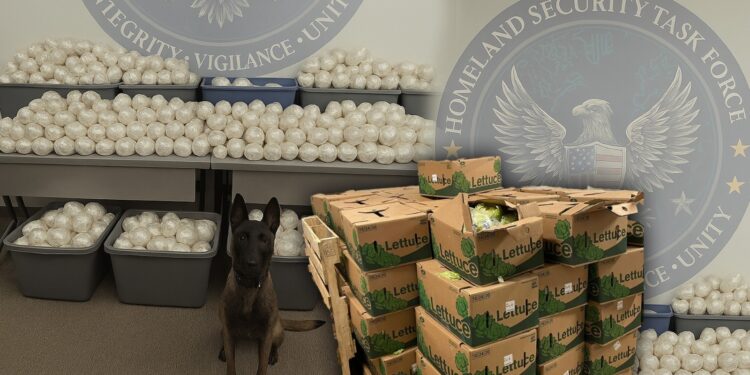 DEA incauta “meta” escondida en cajas de lechuga