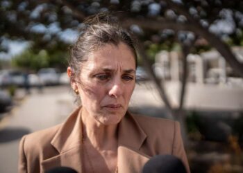 Madre francesa denuncia violencia vicaria; juzgado otorga custodia provisional al padre en menos de 24 horas