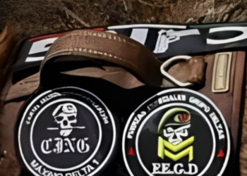 Cartel utiliza perros entrenados para detectar minas en zonas de conflicto