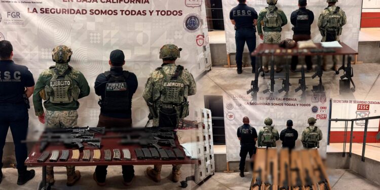 FESC asegura armas largas y más de 900 cartuchos en el Cerro Cuchumá, en Tecate