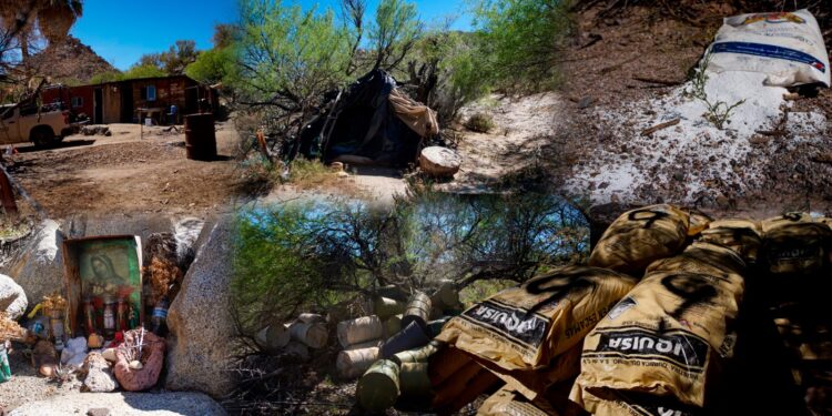 Desmantelan narcolaboratorio en zona montañosa de Mexicali con alta capacidad de producción