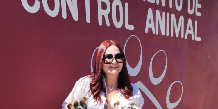 Gobierno de Rosarito impulsa la adopción responsable y el bienestar animal