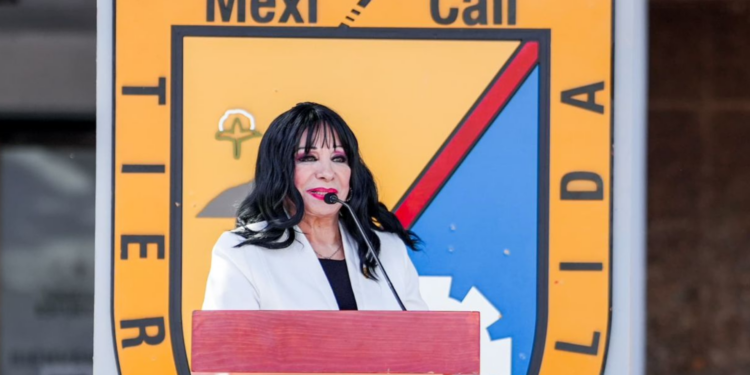 Norma Bustamante no buscará más cargos públicos, asegura para México Comunica