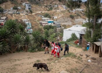 Ataque armado en vivienda de la colonia Michoacán deja un muerto y dos lesionados en Tijuana