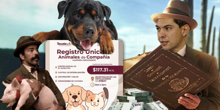 ¡No es broma! Que atascado salio Cota así como Juan Vargas administrando San Pedro de los Saguaros en la Ley de Herodes