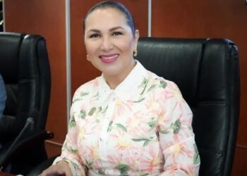 IMPULSAN REFORMA PARA GARANTIZAR VALIDEZ DE LICENCIAS Y TARJETAS DE CIRCULACIÓN DIGITALES EN BAJA CALIFORNIA