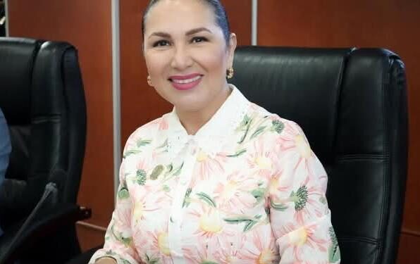 IMPULSAN REFORMA PARA GARANTIZAR VALIDEZ DE LICENCIAS Y TARJETAS DE CIRCULACIÓN DIGITALES EN BAJA CALIFORNIA