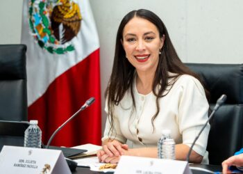 SENADORA JULIETA RAMÍREZ CONVOCA A DIPUTADOS DE BC A ATERRIZAR EL PLAN B DE AUSTERIDAD DE LA PRESIDENTA