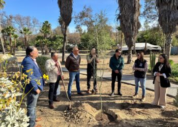 Realiza Gobierno de Tijuana jornada de reforestación en conmemoración del Día de la Tierra