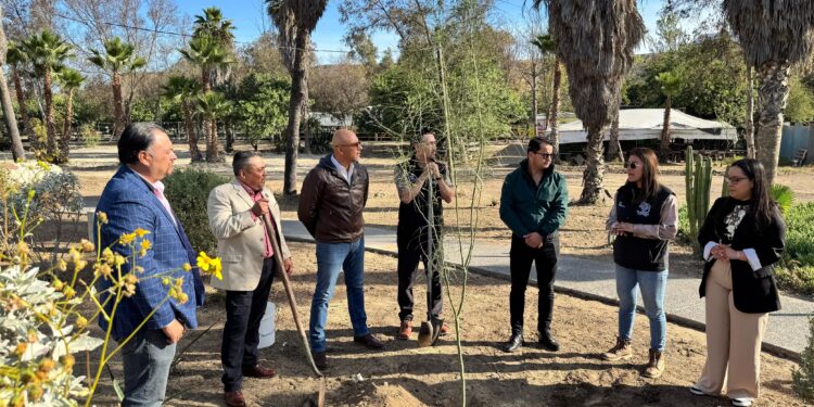 Realiza Gobierno de Tijuana jornada de reforestación en conmemoración del Día de la Tierra