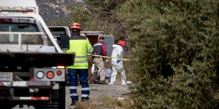 Localizan a hombre sin vida con huellas de violencia en carretera de cuota Tecate