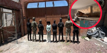 Capturan a mujer bélica con armas y animales exóticos en Edomex