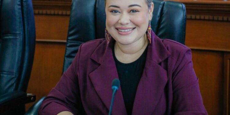 INSTA DIP. MICHELLE TEJEDA A AYUNTAMIENTO DE MEXICALI A REFORZAR CAMPAÑAS Y SANCIONES AMBIENTALES