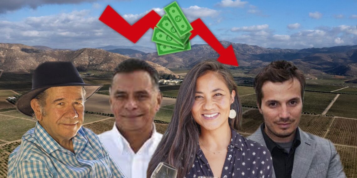 ProVino Baja California convirtió al Valle de Guadalupe en un “pueblo fantasma”